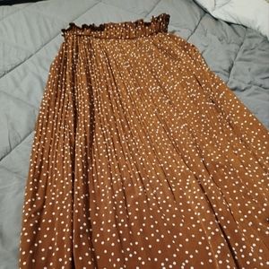 Long Pleated Skirt